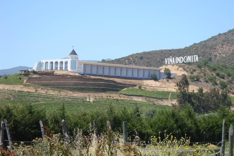 Valparaiso: Visita ao Vale de Casablanca com 5 adegas