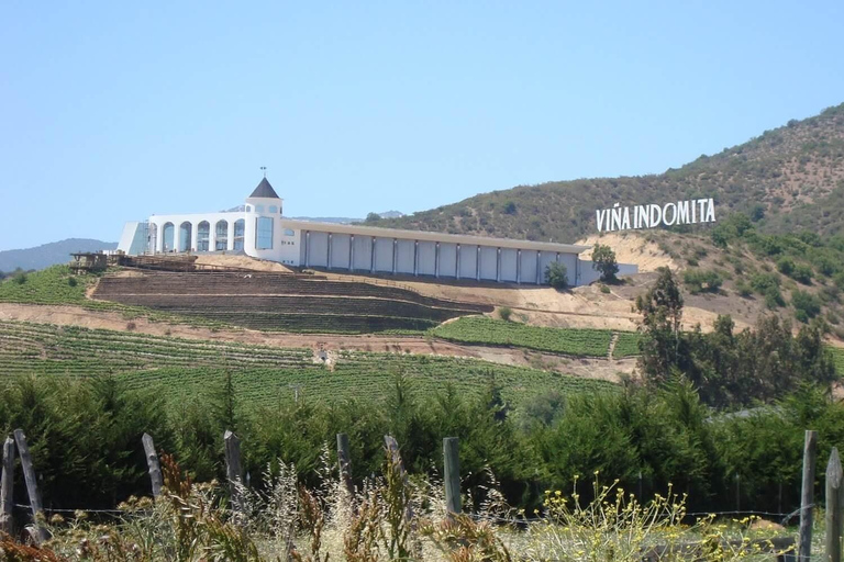 Valparaiso: Casablanca Valley Wine Tour with 5 Wineries