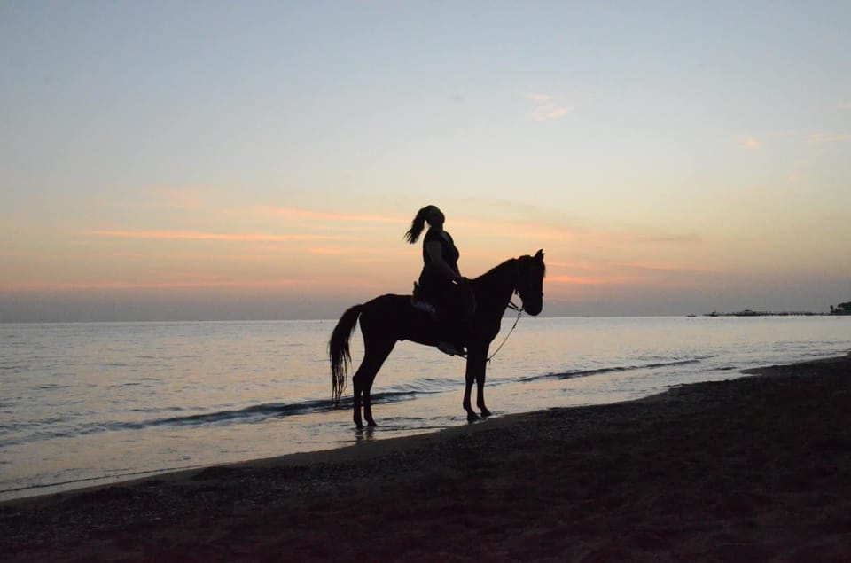 Manavgat/City of Side, Horse Riding by the Beach or Forest - Housity