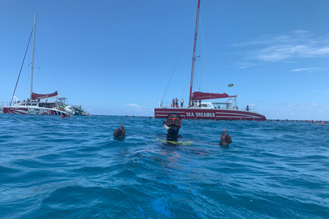 Montego Bay: ATV, Zipline, Catamaran, and Horseback Tour