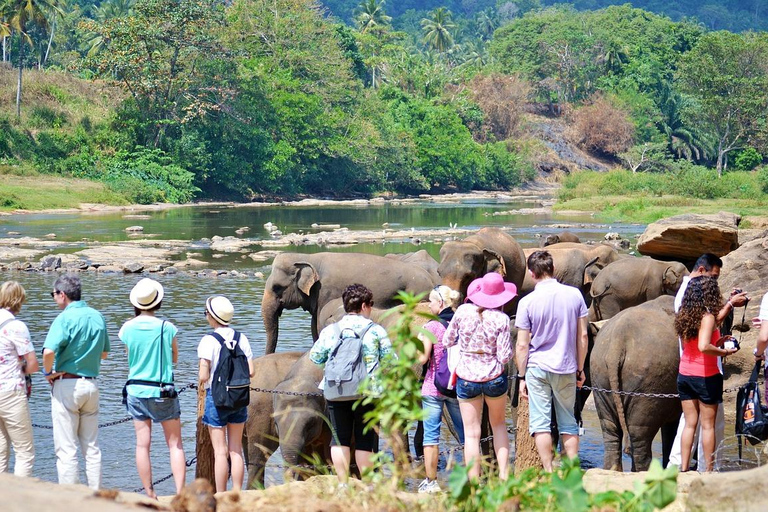 Kandy Pinnawala full day tour from Bentota and KalutaraFrom west caost: Kandy pinnawala full day tour