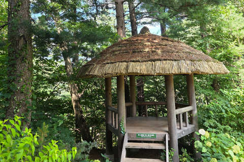 From Seoul: Garden of Morning Calm Day Tour by train