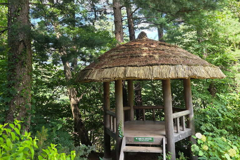 From Seoul: Garden of Morning Calm Day Tour by train