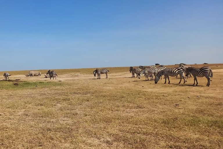 samburu and olpejeta national parks 4 days from nairobi.