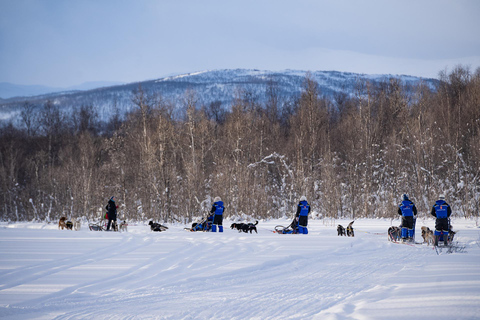 Tromsø: Dog Sledding Adventure at Camp Aspemo