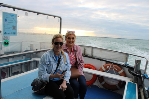 Dublin: Howth Lighthouse and Cliffs BootstourDublin: Howth Cliffs und Irlands Auge Bootstour an der Küste