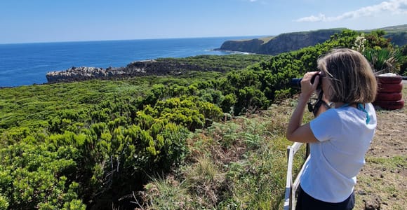 Terceira Island: Full-Day North Coast Tour