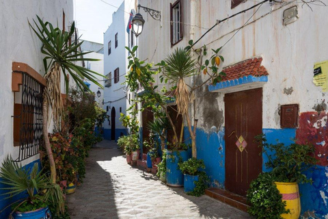 From Tangier: Asilah Guided Tour with Camel Ride