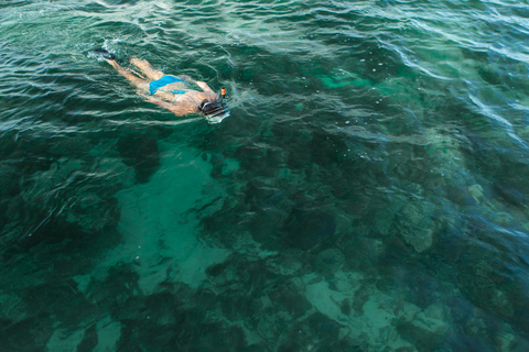 Excursão de vela, mergulho com snorkel, caiaque e pôr do sol em Key West à tarde