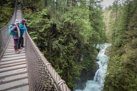 Vancouver: Lynn Valley Suspension Bridge & natuurwandeling