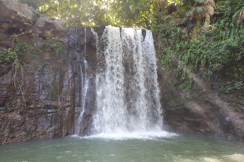 Costa Sur Salvaje ( Gris Gris)