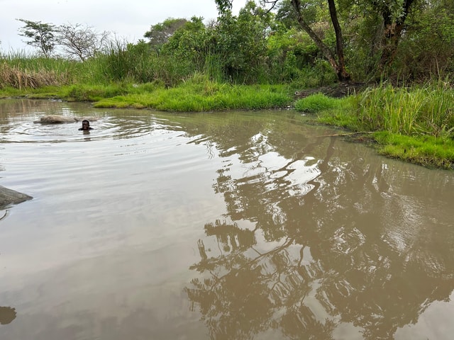 Gulu