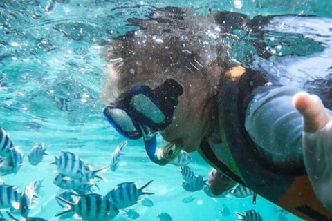 Zanzibar: Prywatne safari Pungume z piknikiem BlueZanzibar: Prywatne safari Pungume z niebieskim piknikiem