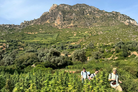 Chefchaouen: Akchour Waterfalls & Bridge of God Day Trip Shared / Small Group Excursion