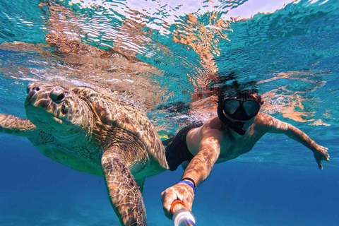Marsa Alam: Pirates Premium Boat do zatoki żółwi z lunchem
