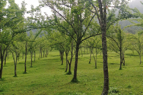 Kathmandu: 4-Day Chitwan National Park & Chitlang Tour