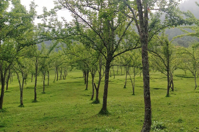 Kathmandu: 4-Day Chitwan National Park & Chitlang Tour