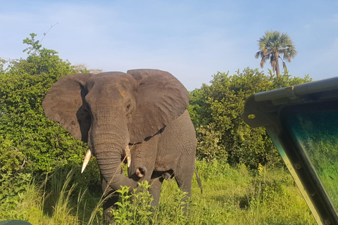 Tanzania: 7-Day Luxury Safari with Serengeti & Ngorongoro