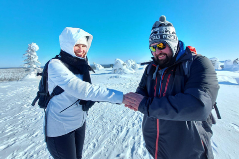 Ruka: Parque Nacional Riisitunturi com almoço.