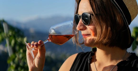 Nice: Vineyard Tour with Wine Tasting
