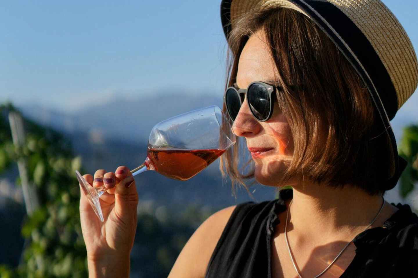 Nice: Vineyard Tour with Wine Tasting - Essential Vineyard Tour