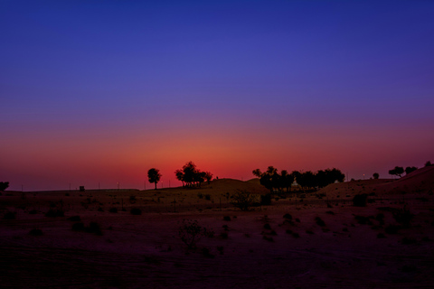 Pod arabskimi gwiazdami: Doha Night Desert Safari Adventure