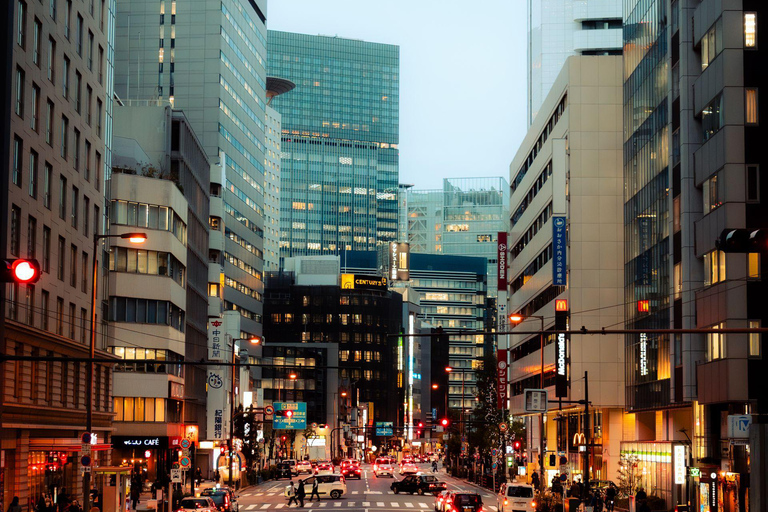 Tokyo: Luxury Private Full-Day City Tour by Alphard Luxury Alphard
