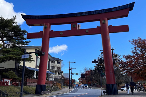 Tokyo : Excursion privée d&#039;une journée à Nikko avec visite du sanctuaire de Toshogu