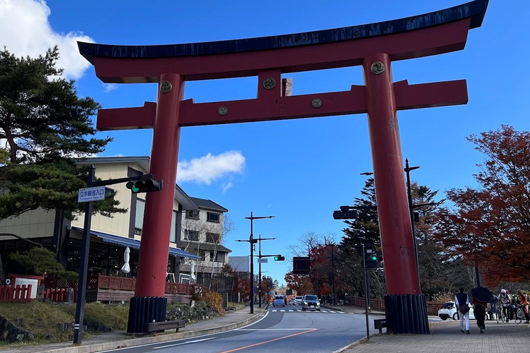 Tóquio: Viagem privada de 1 dia a Nikko com visita ao Santuário Toshogu