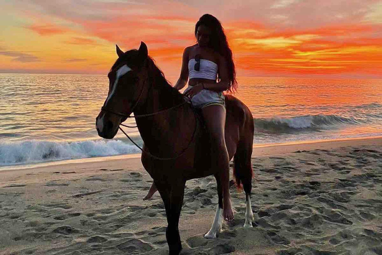 From Huatulco: Beach Horseback Riding Experience Regular Beach Horseback Riding Tour (2 hours)
