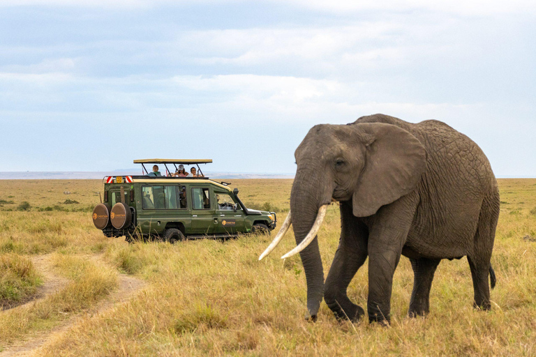 2 Days Private Budget Safari from Moshi