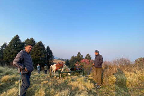 From Pokhara: 3 Day Short Poon Hill with Thapla Danda Trek