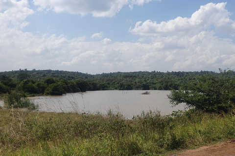 Nairobi: National Park Layover Tour mit Flughafentransfers.