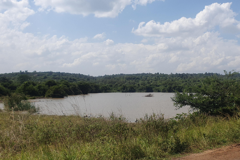 Nairobi: National Park Layover Tour mit Flughafentransfers.