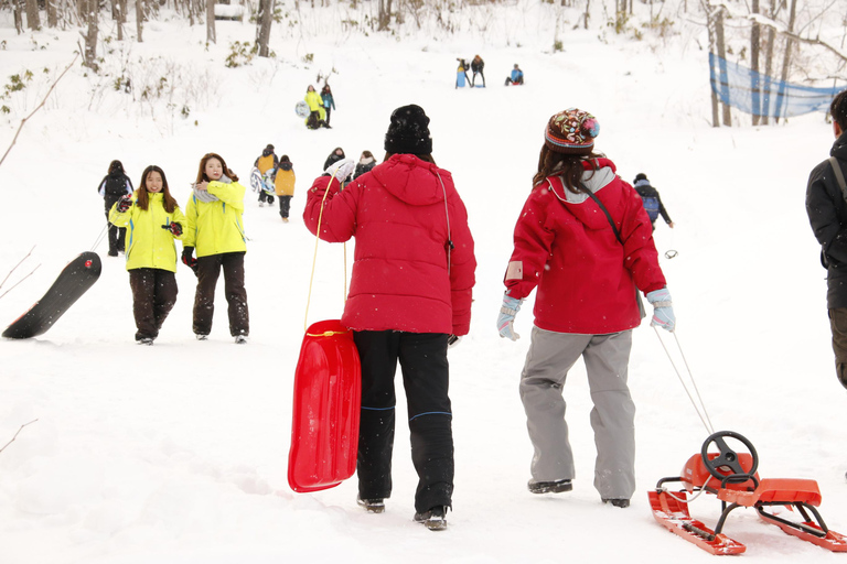 Sapporo: Snow Park, Snowmobile, and BBQ Experience D.Snowmobile package(90 minutes)