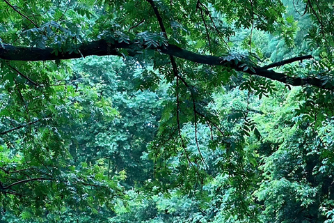 Hangzhou: West Lake Half-Day Tour with Boat Ride