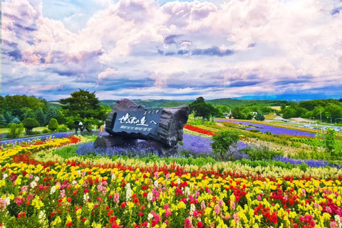 Summer Hokkaido: Furano lavender, Blue Pond,Shikisai-no-Oka 7:50 am meet at Odori Park subway station exit 31