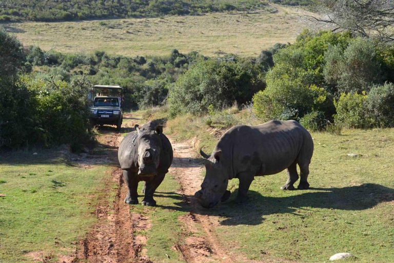 Au départ du Cap : 4 jours d'excursion de luxe sur la Route des jardins
