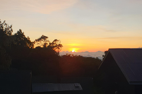 Randonnée d&#039;une journée sur le mont Kilimandjaro à travers la porte de Maranguprix de groupe
