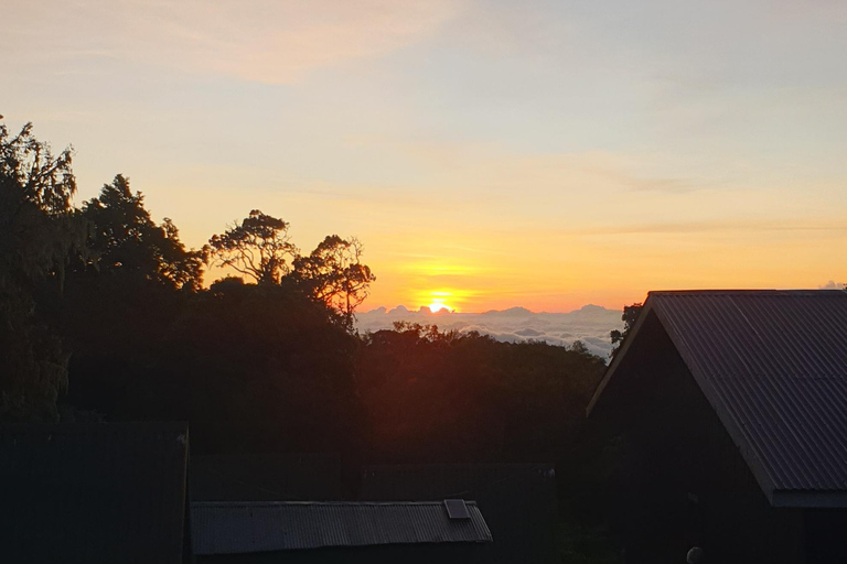 Randonnée d&#039;une journée sur le mont Kilimandjaro à travers la porte de Maranguprix de groupe