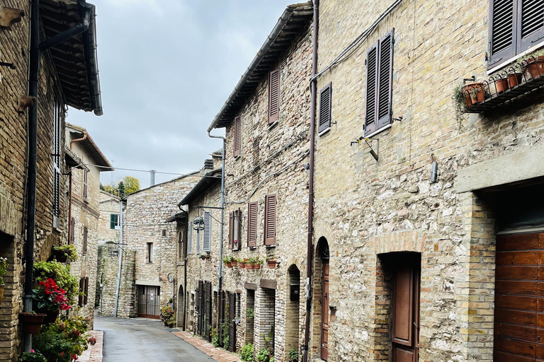 Assisi: Three Saints, St Carlo, Francis & Clare Walking Tour Spanish Tour