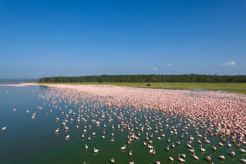 Lake Elemtaita: Elementaita Flamingoes & Birdwatching tour