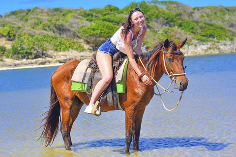 Descubre los Senderos de Punta Cana en un Paseo a Caballo