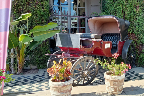 Tour Todos Santos Magical Town, Hotel California