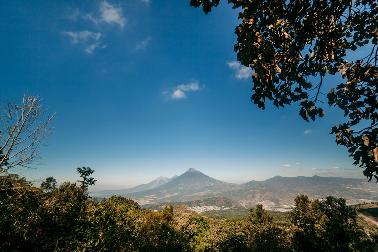 Pacaya Volcano Vistas + Pizza Cooked Under Volcanic Heat