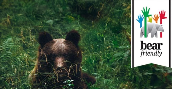 Postojna: Bärenbeobachtung mit Ranger und ortskundigem Guide