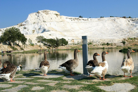 Visite quotidienne d&#039;Éphèse et de Pamukkale au départ d&#039;Istanbul par vol aller-retour