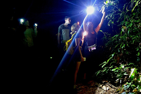 Khao Sok: All-Inclusive Day & Night Trek with Bamboo Dinner Option 2: Day & Night Trek with Bamboo Dinner From Khao Sok