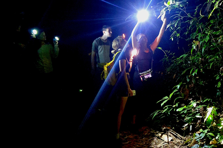 Khao Sok: All-Inclusive Day & Night Trek with Bamboo Dinner Option 2: Day & Night Trek with Bamboo Dinner From Khao Sok