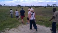 Mokoro Day Trip at the Okavango Delta - Housity